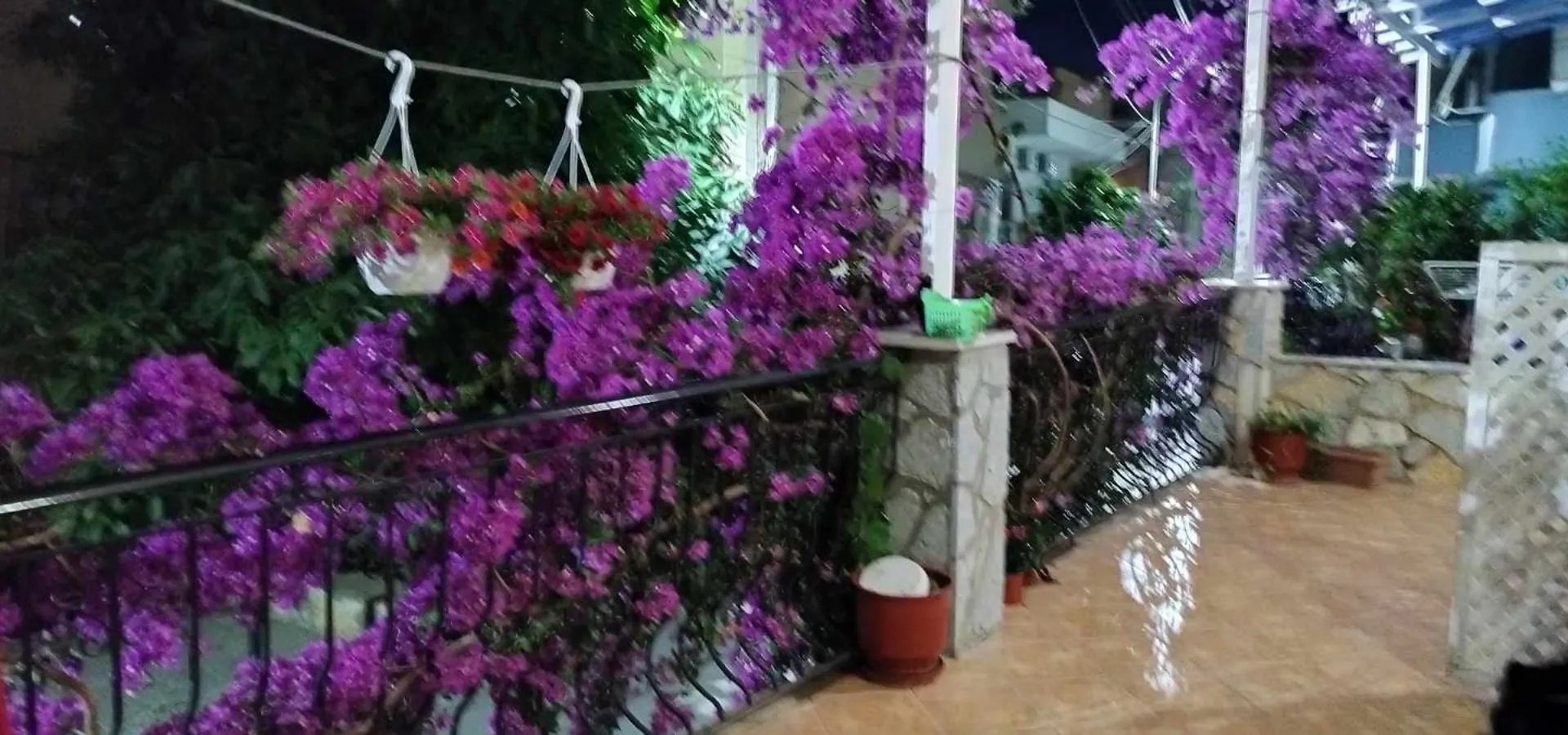 Apartment Elena Apartament Sarande